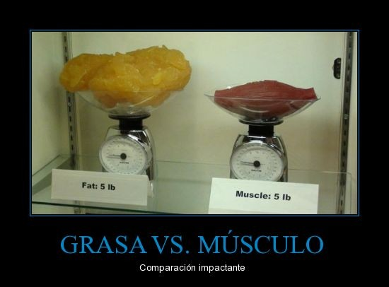 En es posible adelgazar cuánto en el día del hambre